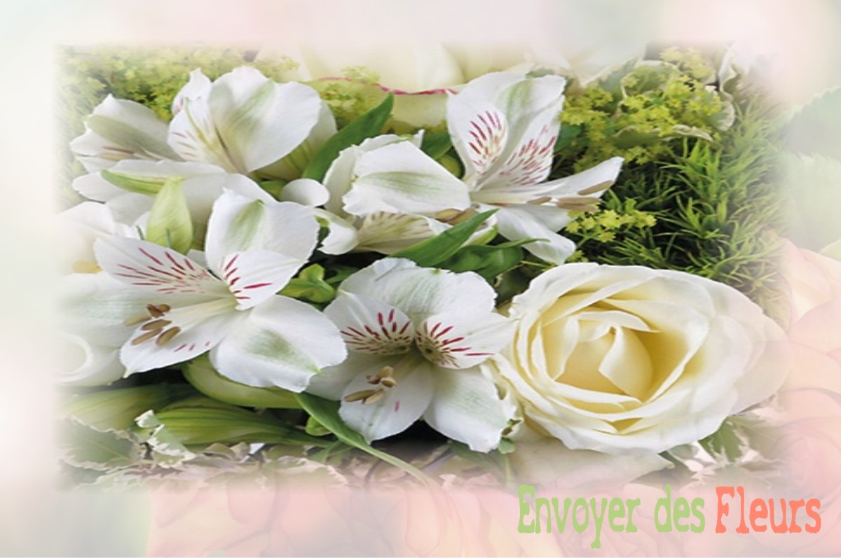 envoyer des fleurs à à DOMEZAIN-BERRAUTE
